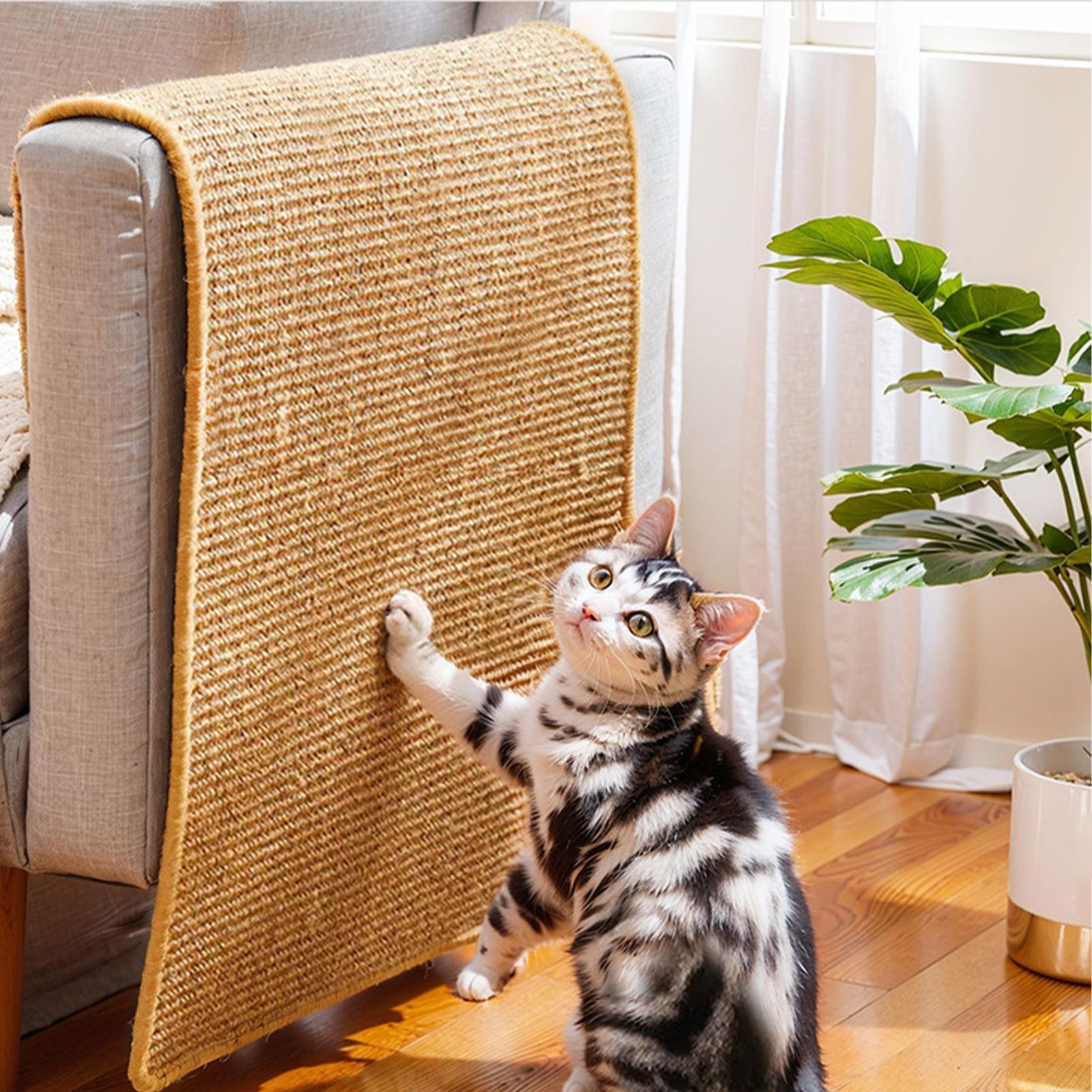 Self-Adhesive Cat Scratcher Ma - Cutting Mat Self Heal reseña y precio